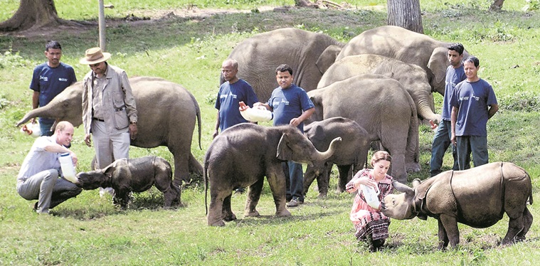 Assam Wildlife Tour