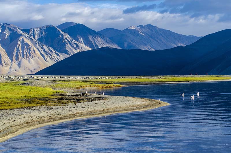 Leh with Pangong Tour